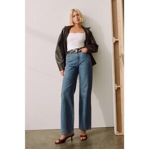 Abercrombie & Fitch The Loose High Rise in Medium Wash Size 28